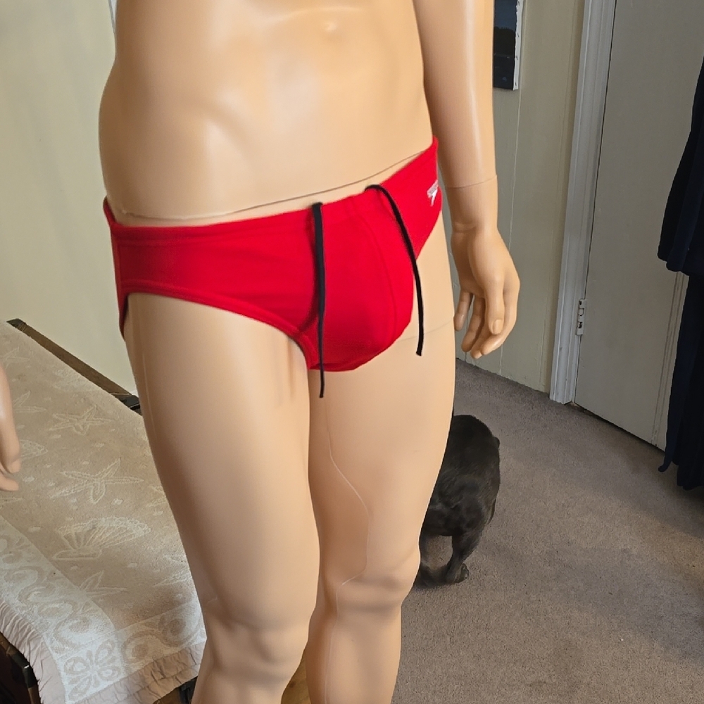 Red Men's Spedo Swim Briefs